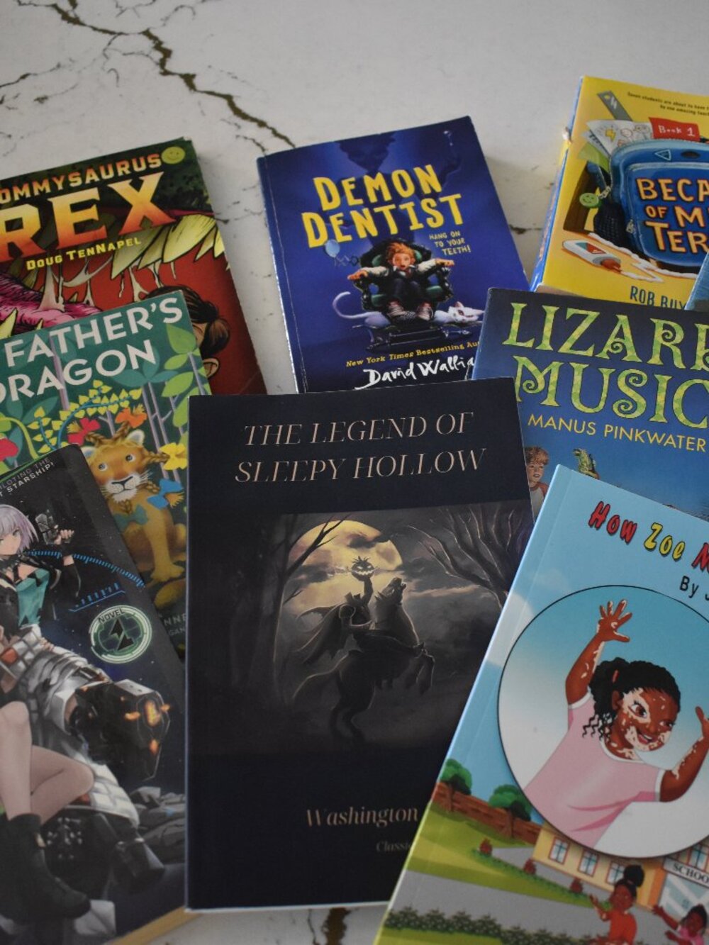 Book Lot 9 Children's Chapter Books Library Classroom Homeschool Reading Bundle